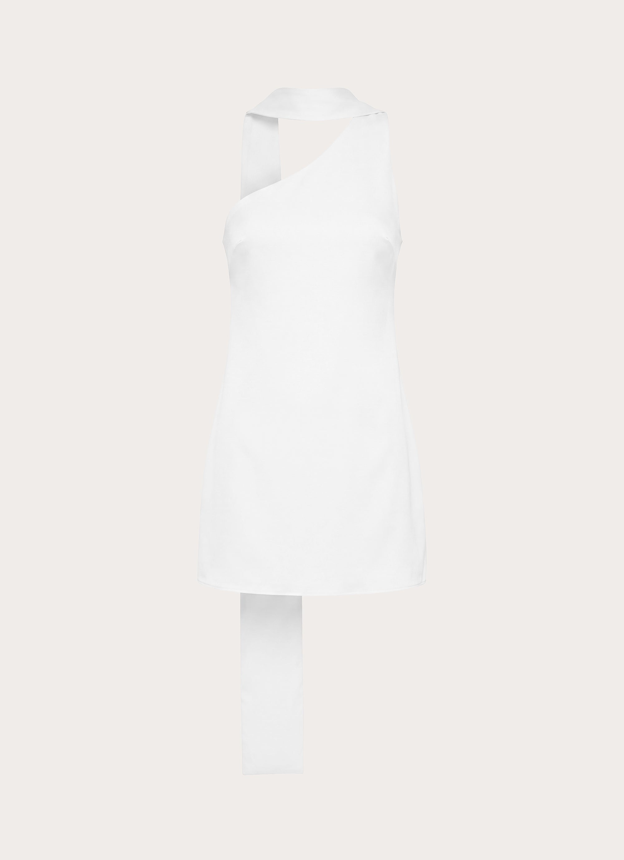 In The End Mini Dress - White
