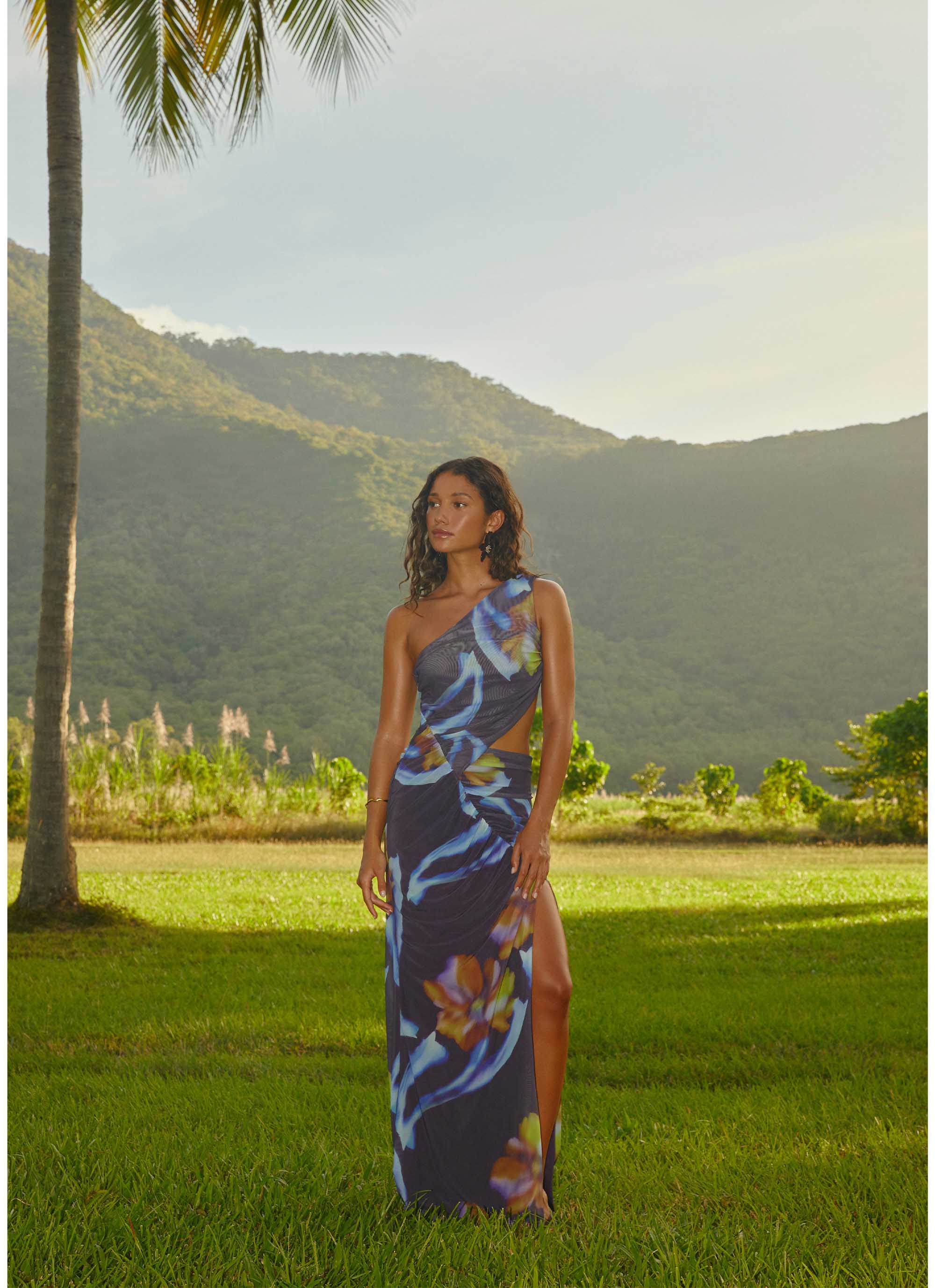 Zanzibar Maxi Dress - Dark Floral